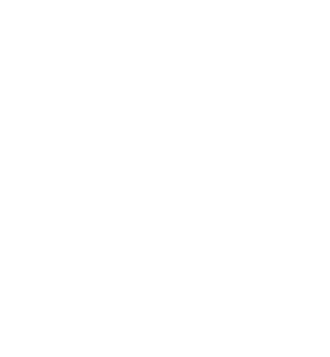 FitLink